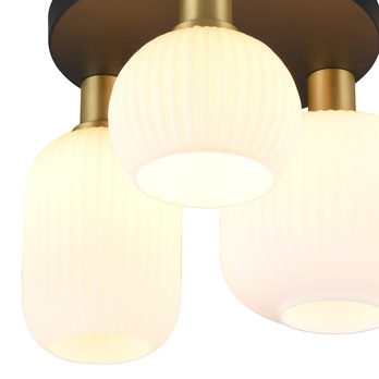 Stropné svietidlo DIVA čierna/biela 5