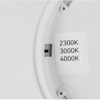 Stropné svietidlo DRACO 2 biela 4