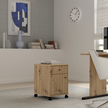 Kontajner ESTERIA dub artisan 1