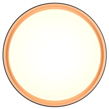Stropné LED svietidlo FELIS čierna/zlatá 6