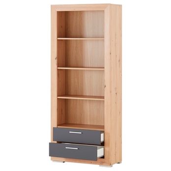 Regál FERNANDO T3 dub artisan/matná sivá 1