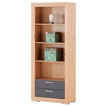 Regál FERNANDO T3 dub artisan/matná sivá 2