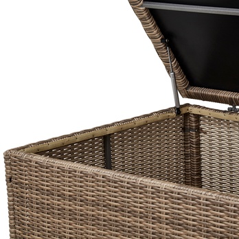 Úložný box FLORENZ 2 šampanské 6