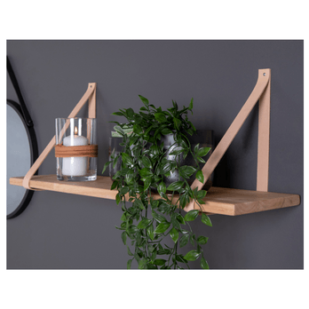 Polica FURNU I kaučukovník 1