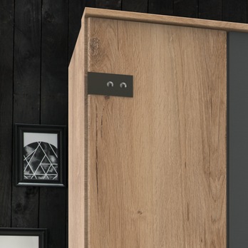 Šatníková skriňa GRAYSON 1 dub doskový/grafit 3