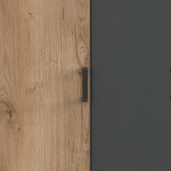 Šatníková skriňa GRAYSON 1 dub doskový/grafit 4