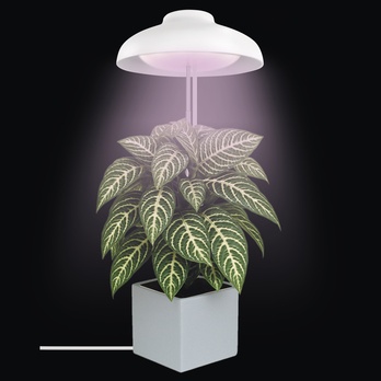 Pestovateľská lampa GROW Z7901 biela 1