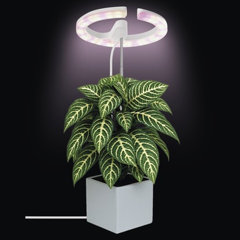 Pestovateľská lampa GROW Z7902 biela 1