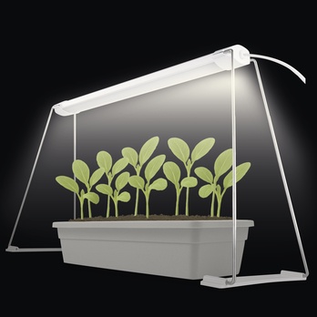 Pestovateľská lampa GROW Z7903 biela 1