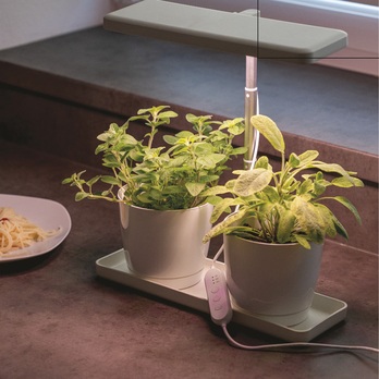 Pestovateľská lampa GROW Z7904 biela 1