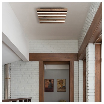 Stropné svietidlo HAYDEN hnedá/čierna 1