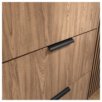 Šatníková skriňa HEDWIG dub artisan 4