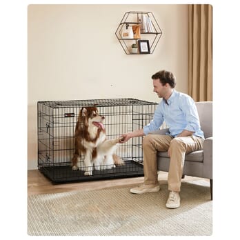Prepravný box HUSKY 2 čierna 1