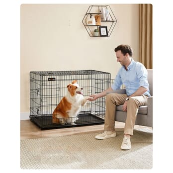 Prepravný box HUSKY čierna 1