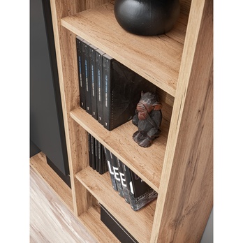 Obývacia stena JAMIL II dub wotan/antracitová 12