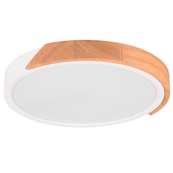 Stropné LED svietidlo JANO biela/prírodná 1