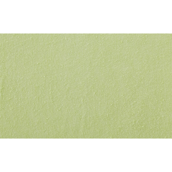 Prestieradlo JERSEY GREEN 1 180x200 cm, svetlozelená 2