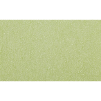 Prestieradlo JERSEY GREEN 1 100x200 cm, svetlozelená 2