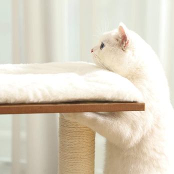 Škrabadlo pre mačky KATTY III hnedá/biela 5