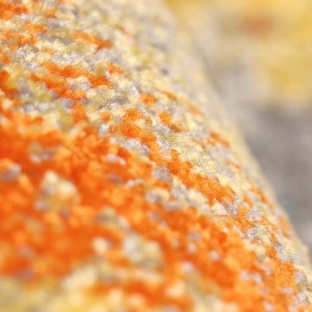 Koberec KOLIBRI 3 viacfarebná, 120x170 cm 2