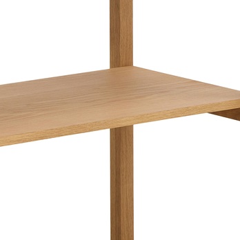 Knižnica LUDZA dub 6