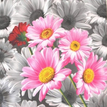 Posteľná bielizeň LÚKA 70x90 cm a 140x200 cm 2