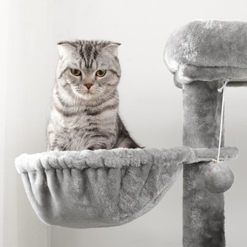 Škrabadlo pre mačky LUXURY sivá 4