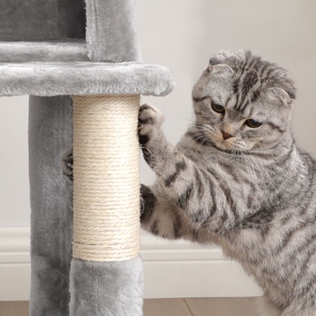 Škrabadlo pre mačky LUXURY sivá 5