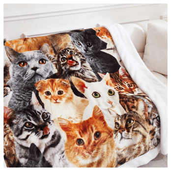 Deka  MAČKY 150x200 cm 1