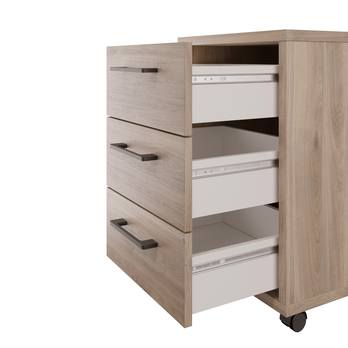 Kontajner MADDY dub castello 1