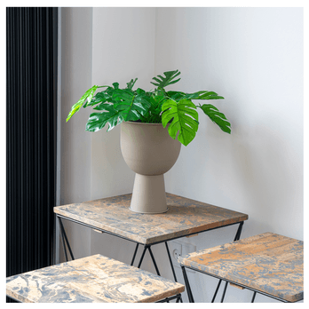 Umelý kvet MONSTERA II zelená 3
