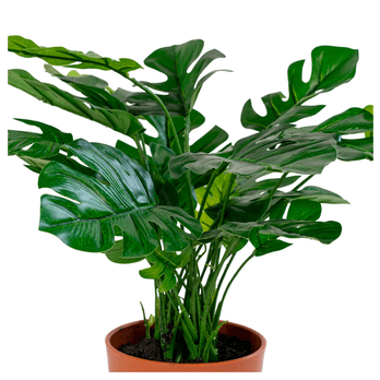 Umelý kvet MONSTERA II zelená 6