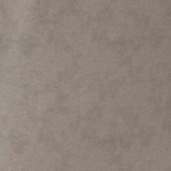 Jedálenská stolička NAILA dub olejovaný/sivá 6