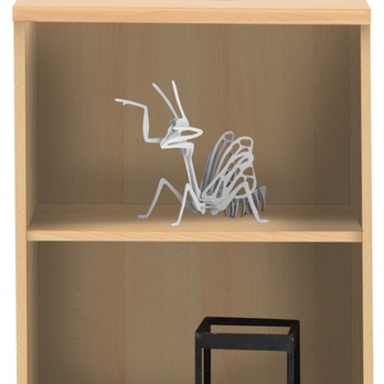 Regál/knižnica OPTIMUS buk 1