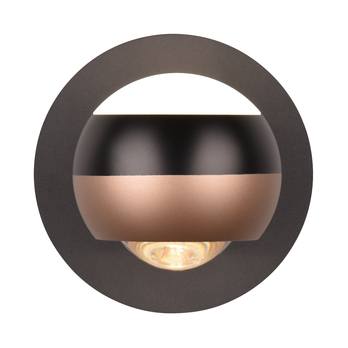 Nástenné svietidlo ORBIT kávová 4