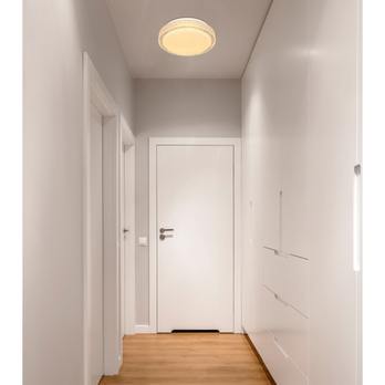 Stropné LED svietidlo OVI 1 opál/krištáľ 1