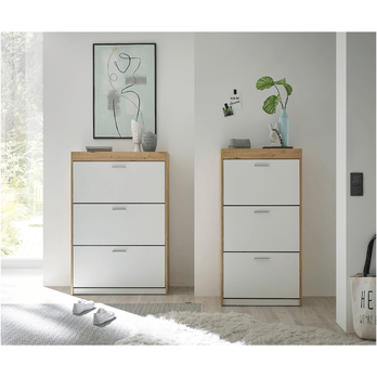 Skrinka na topánky PARID 3 dub artisan/biela 1