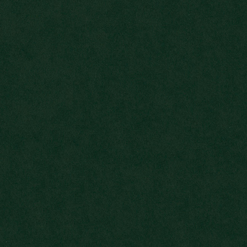 Pohovka POLO zelená 2