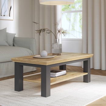 Konferenčný stolík PONTYPOOL sivá/dub mauvella, šírka 116 cm 1