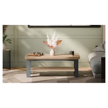Konferenčný stolík PONTYPOOL sivá/dub mauvella, šírka 116 cm 3