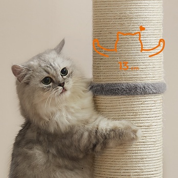 Mačacie škrabadlo POST sivá/prírodná 3