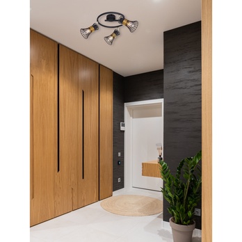 Stropné svietidlo PURRA 4 čierna/zlatá 1