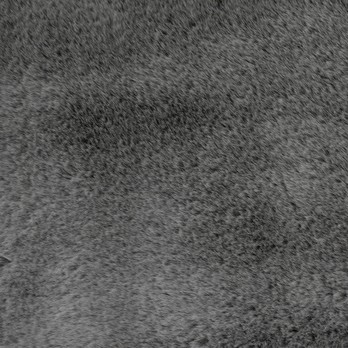 Koberec RABBIT NEW tmavosivá, 140x200 cm 1