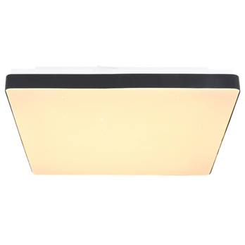 Stropné LED svietidlo RAINA čierna 4