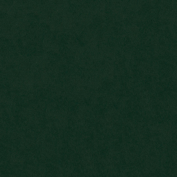 Kreslo RAUL tmavozelená 4