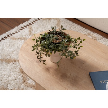 Konferenčný stolík SABLE dub 5