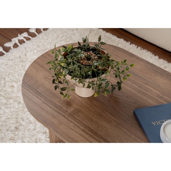 Konferenčný stolík SABLE orech 5