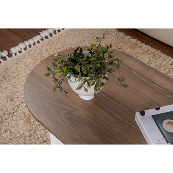 Konferenčný stolík SABLE orech/biela 5