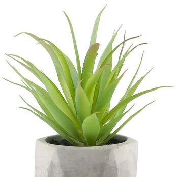 Umelá kvetina v kvetináči SUKKULENTE sivá/zelená, výška 14 cm 2
