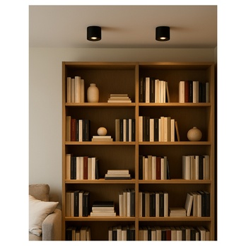 Stropné svietidlo TRIXLINE čierna 2